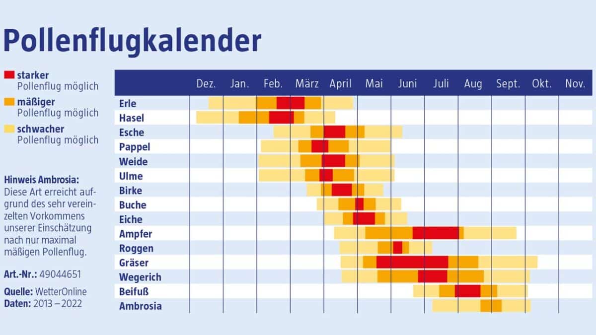 Pollenflug München Der Kalender für 2023 95.5 Charivari