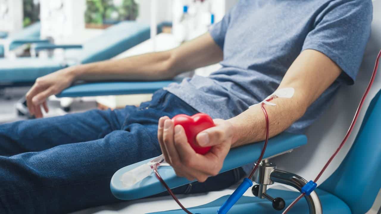 Leben retten: Hier kannst du in München Blut spenden