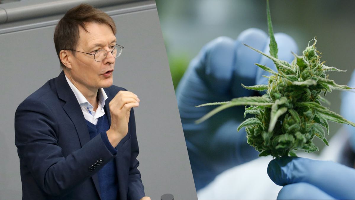 Bundestag Beschließt Legalisierung Von Cannabis | 95.5 Charivari