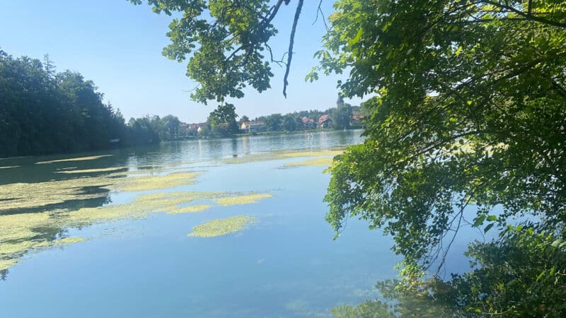 weßlinger see