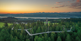 Familienkarte für die Waldwelt Allgäu zum halben Preis!