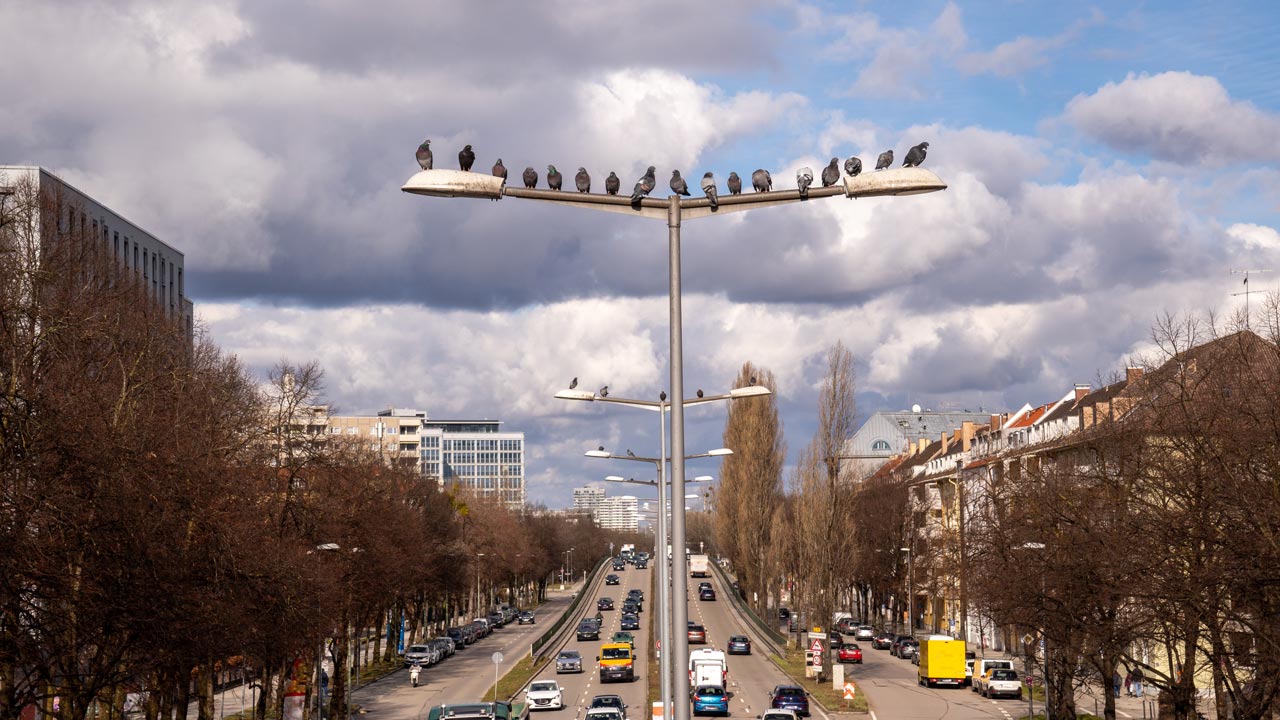 Strengere Diesel-Regeln für die Landshuter Allee beschlossen