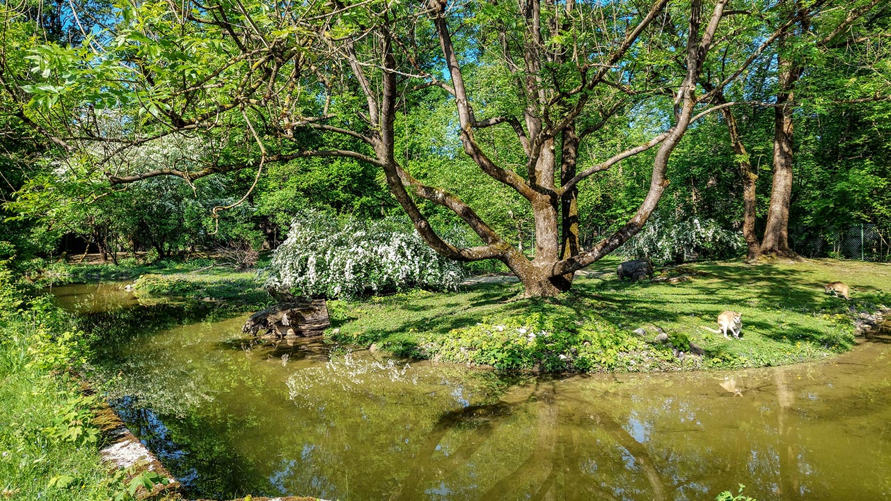 Tierpark Hellabrunn: Neue Tiere, Anlagen und Veranstaltungen in 2025